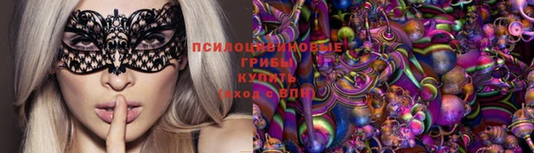 крисы Краснослободск