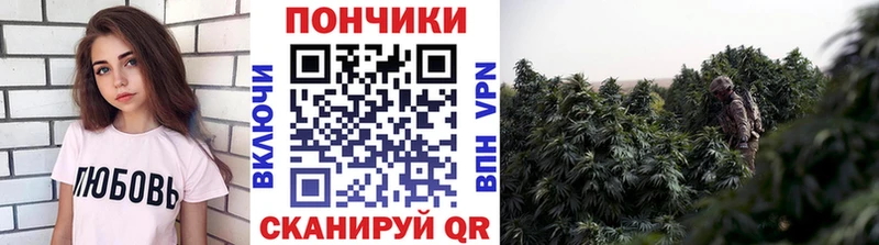 Купить где  Правдинск  МАРИХУАНА гибрид 